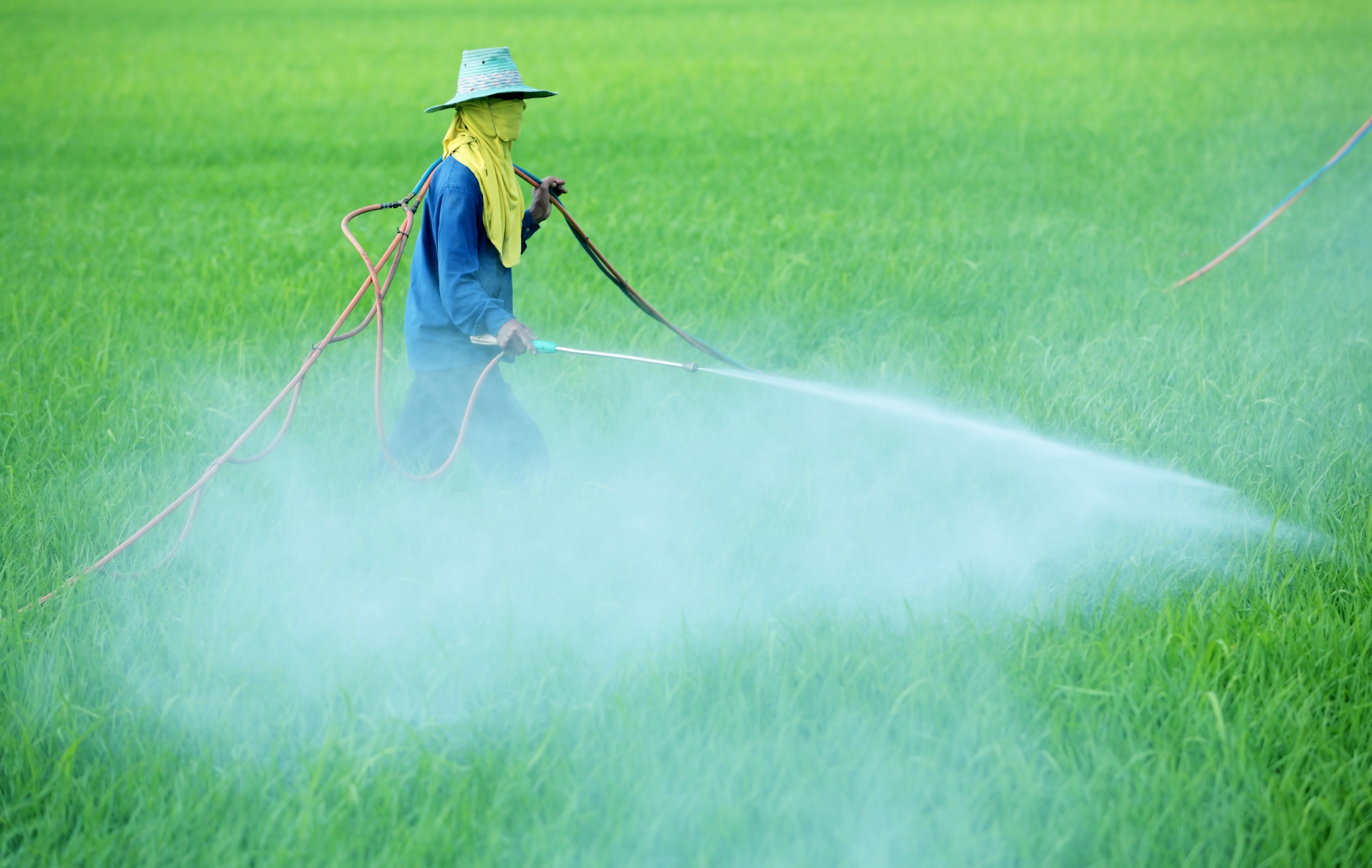 Обработка полей пестицидами. Пестициды и гербициды. Пестициды в сельском хозяйстве. Распыление пестицидов. Ядохимикаты в сельском хозяйстве.